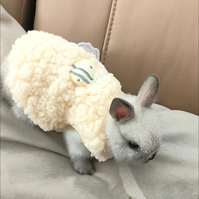 Winter Clothing Newborn - Зимний теплый свитер для кроликов и