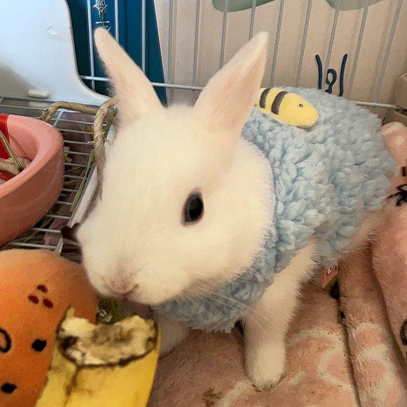 Зимний теплый свитер для кроли – обзор и цена Winter Clothing Newborn